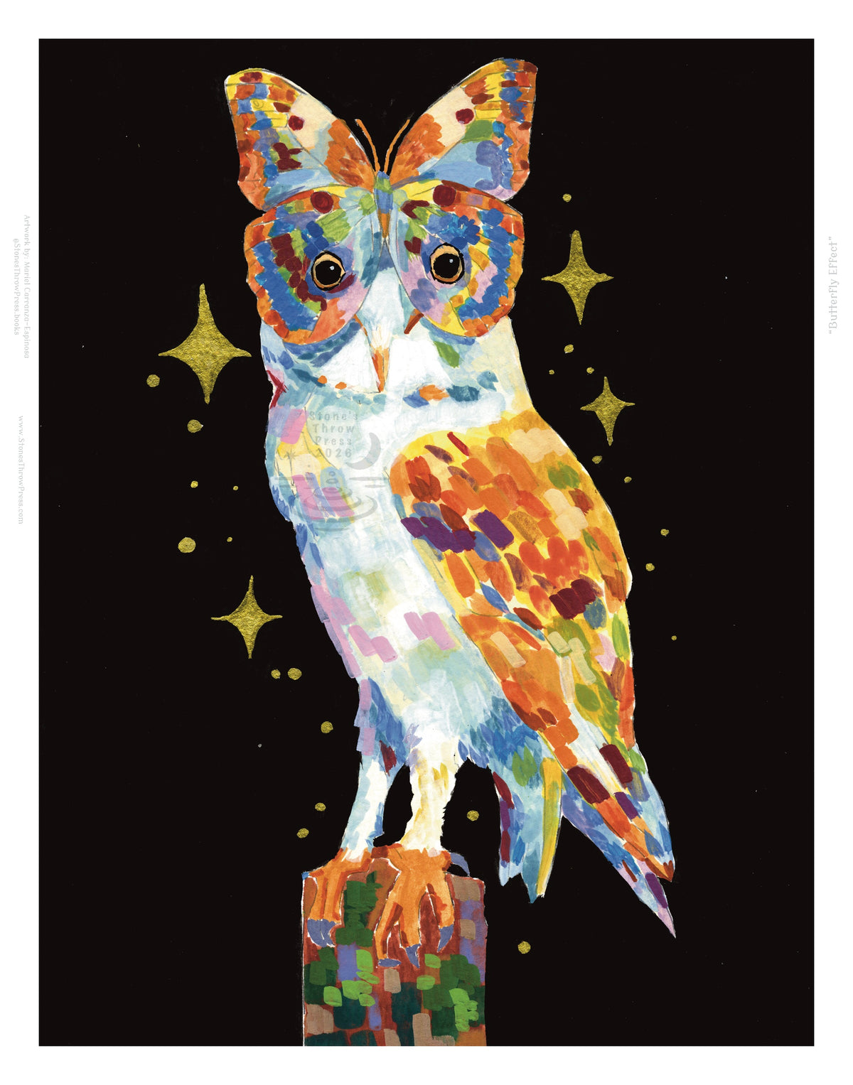 a colorful owl with a butterfly for a face, on a star decorated black background