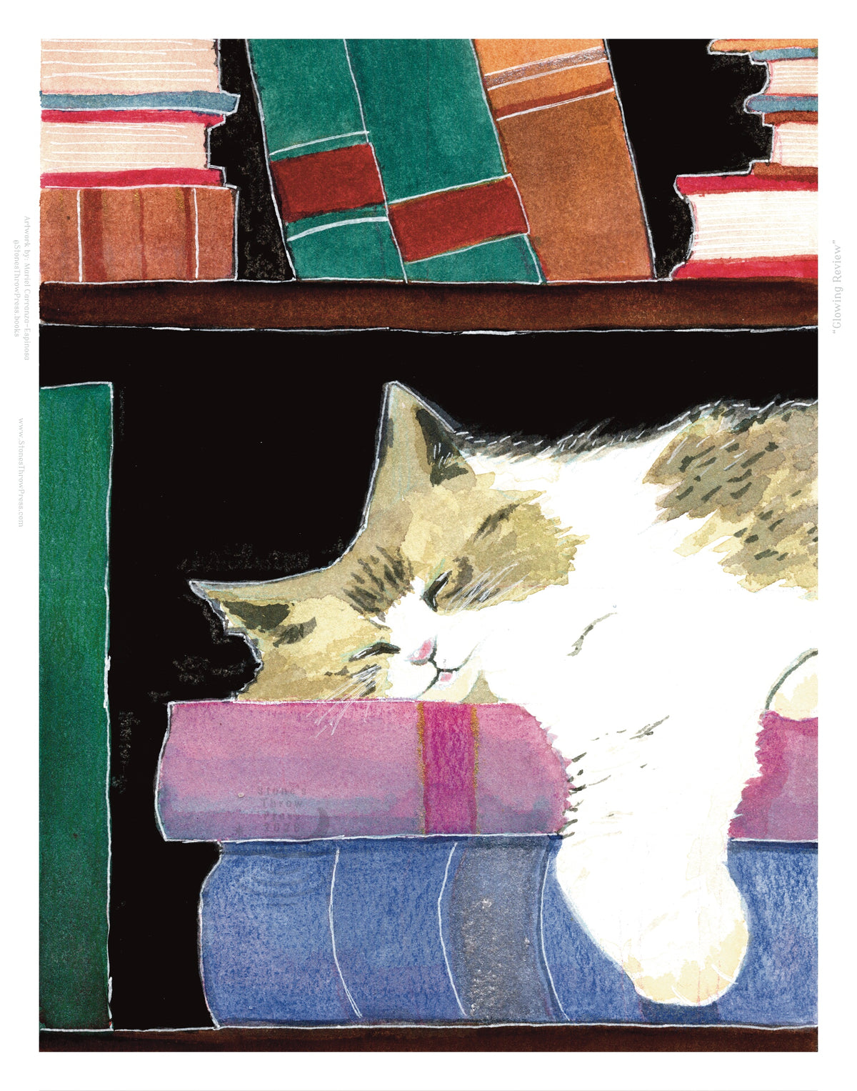 a fluffy white and tan kitty sleeping on a pile of books stacked on a bookshelf