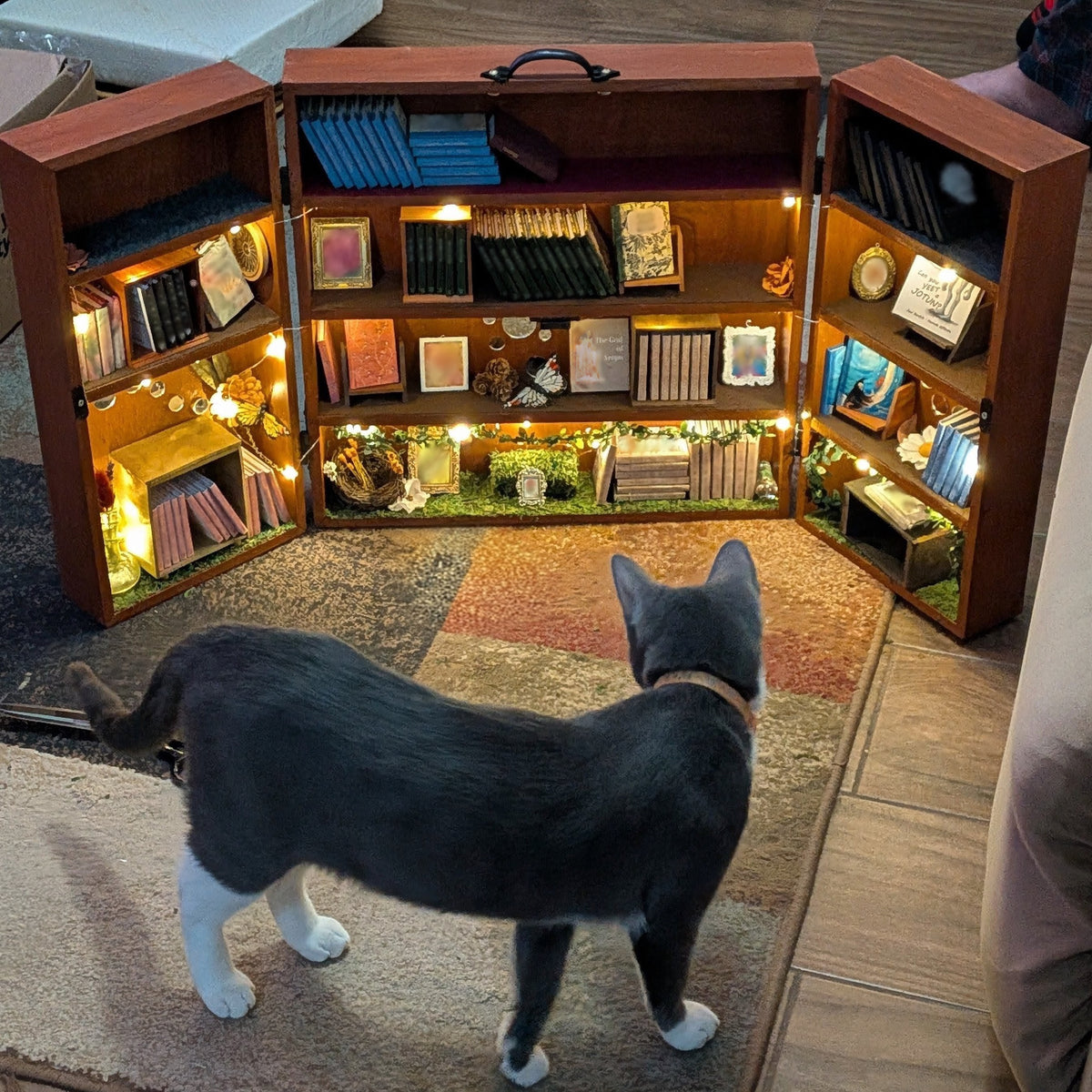 A gray cat with white paws stands in front of an open wooden miniature bookshelf filled with tiny books, shelves, and decorative items. The scene is indoors on a patterned rug with wood flooring visible.