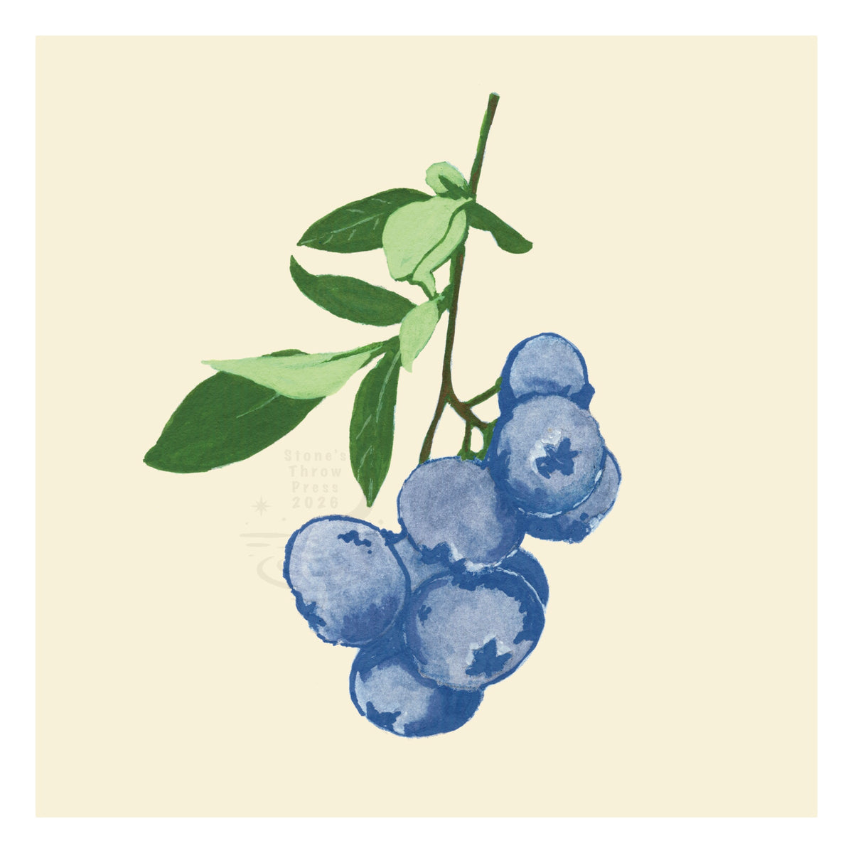 9 blueberries on the stem on a neutral ivory background
