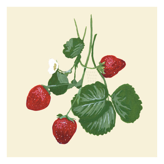 three strawberries on the stem on a neutral ivory background